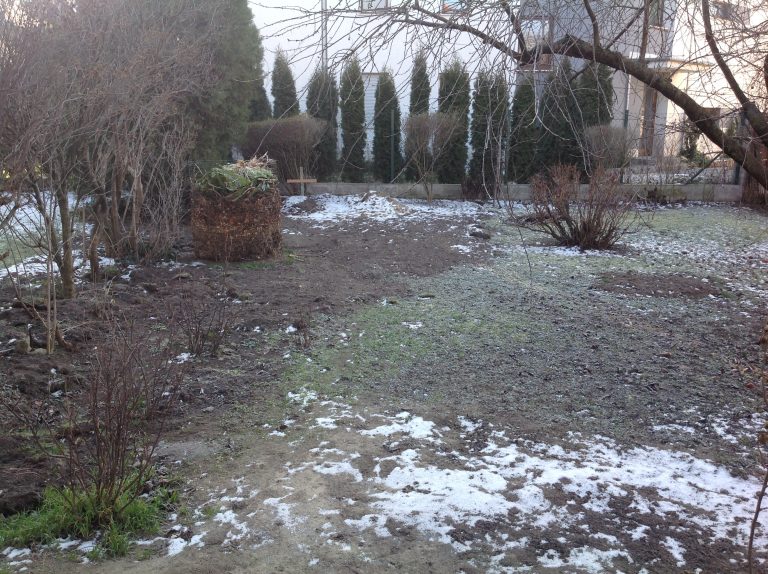 Elhanyagolt, foltos kert tél végén, a gyepszőnyeg-telepítés előtt