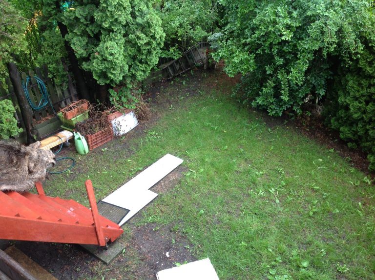 Elhanyagolt hátsó kert a kertfelújítás előtt, gyér és foltos gyeppel